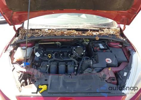 2015 Ford Focus Se z USA, uszkodzony, nr VIN 1FADP3K2XFL372469